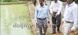 Mangalore Dead fish found floating in Karmbikere pond-Locals alarmed