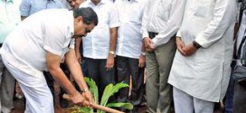 Tree Park adds another feather in Pilikula’s cap