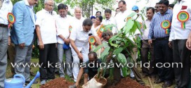 ”Laksha Vriksha” program at Kadri Park.