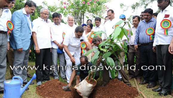 ”Laksha Vriksha” program at Kadri Park.