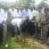 Foundation stone laid for flood control works worth Rs. 3.40 crores by J R Lobo in Mangalore South constituency