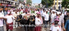 Massive protest in Mangaluru over ban on traditional Kambala sport.