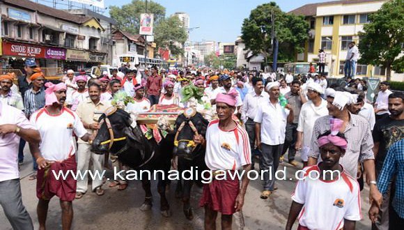 Massive protest in Mangaluru over ban on traditional Kambala sport.