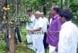 MLA J R Lobo conducts study of crops with farmers in Vittal
