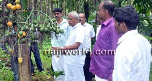 MLA J R Lobo conducts study of crops with farmers in Vittal