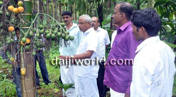 MLA J R Lobo conducts study of crops with farmers in Vittal